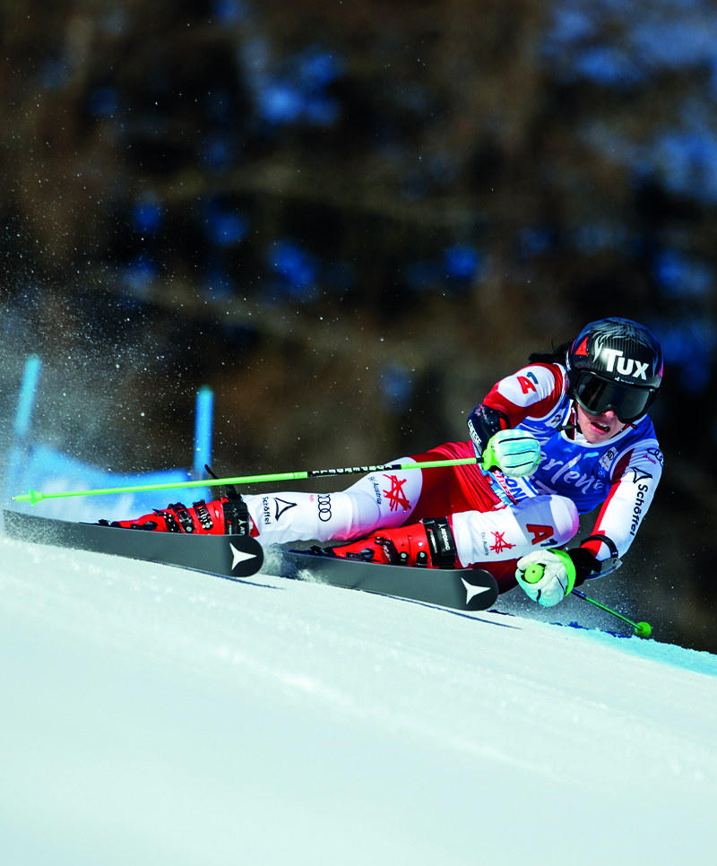 Stephanie Brunner Stephanie Brunner